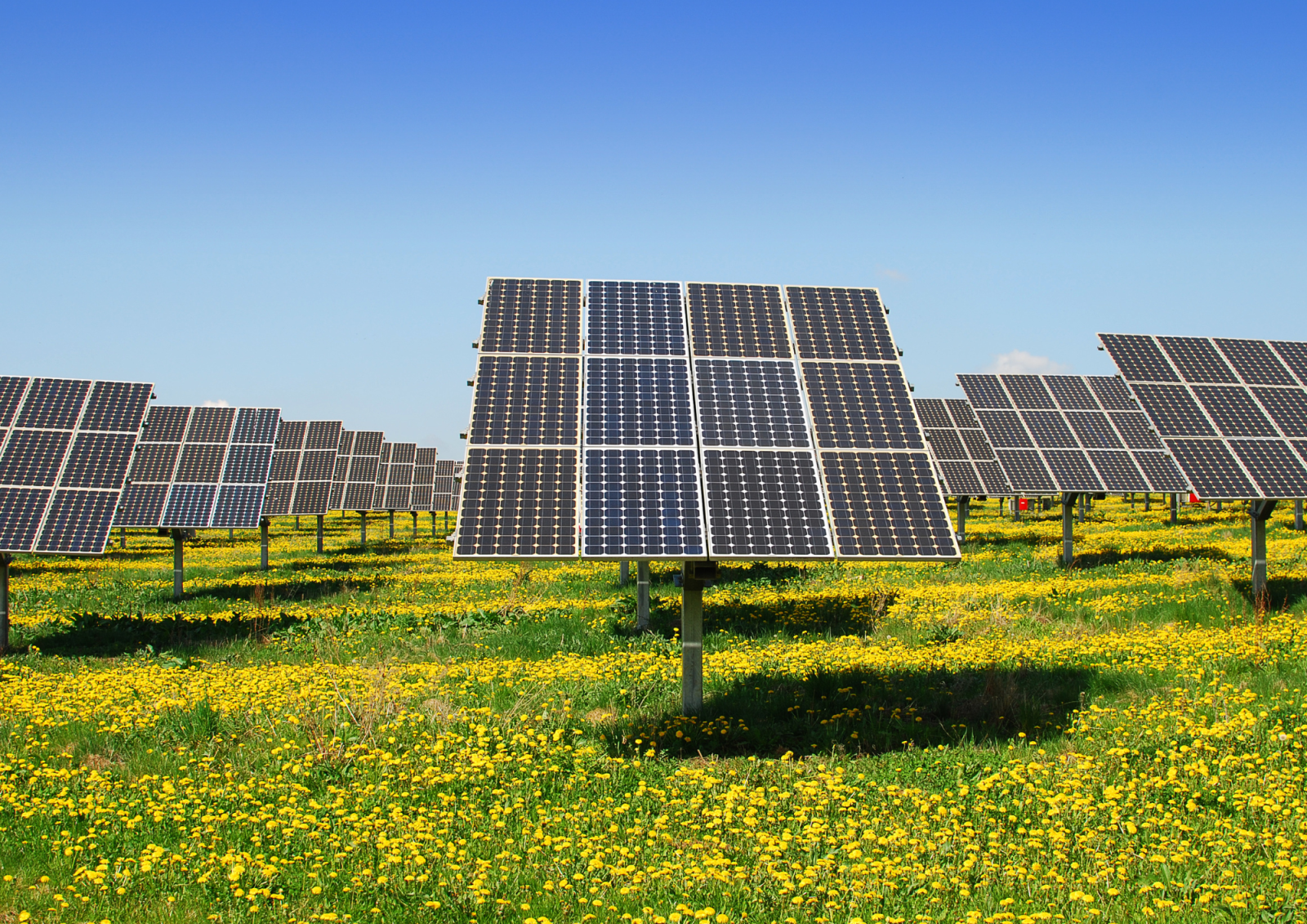 Unibep wybuduje farmy fotowoltaiczne dla RWE